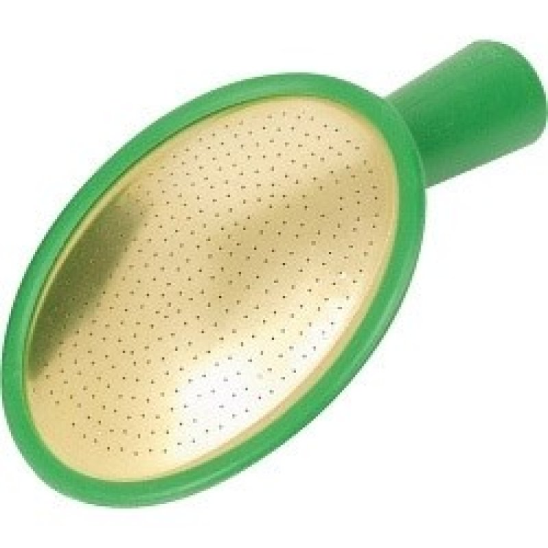 NO.5 FINE AS RAIN WATERING CAN ROSE Middlewich